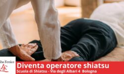 Diventa operatore Shiastu a Bologna