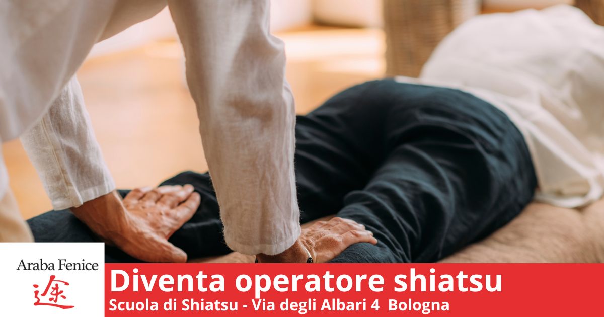 Diventa operatore Shiastu a Bologna